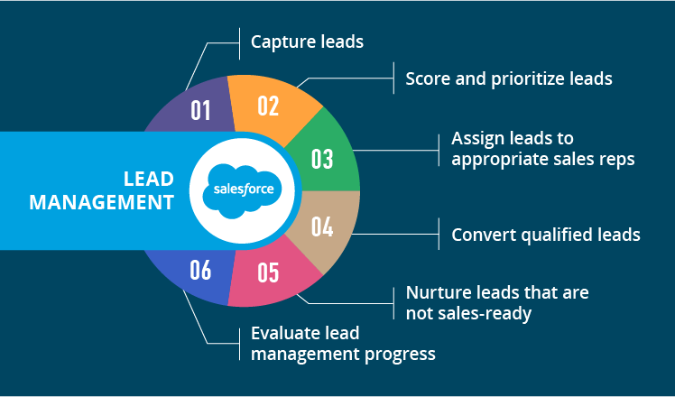 Lead management process